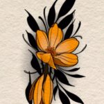 Plantilla medias