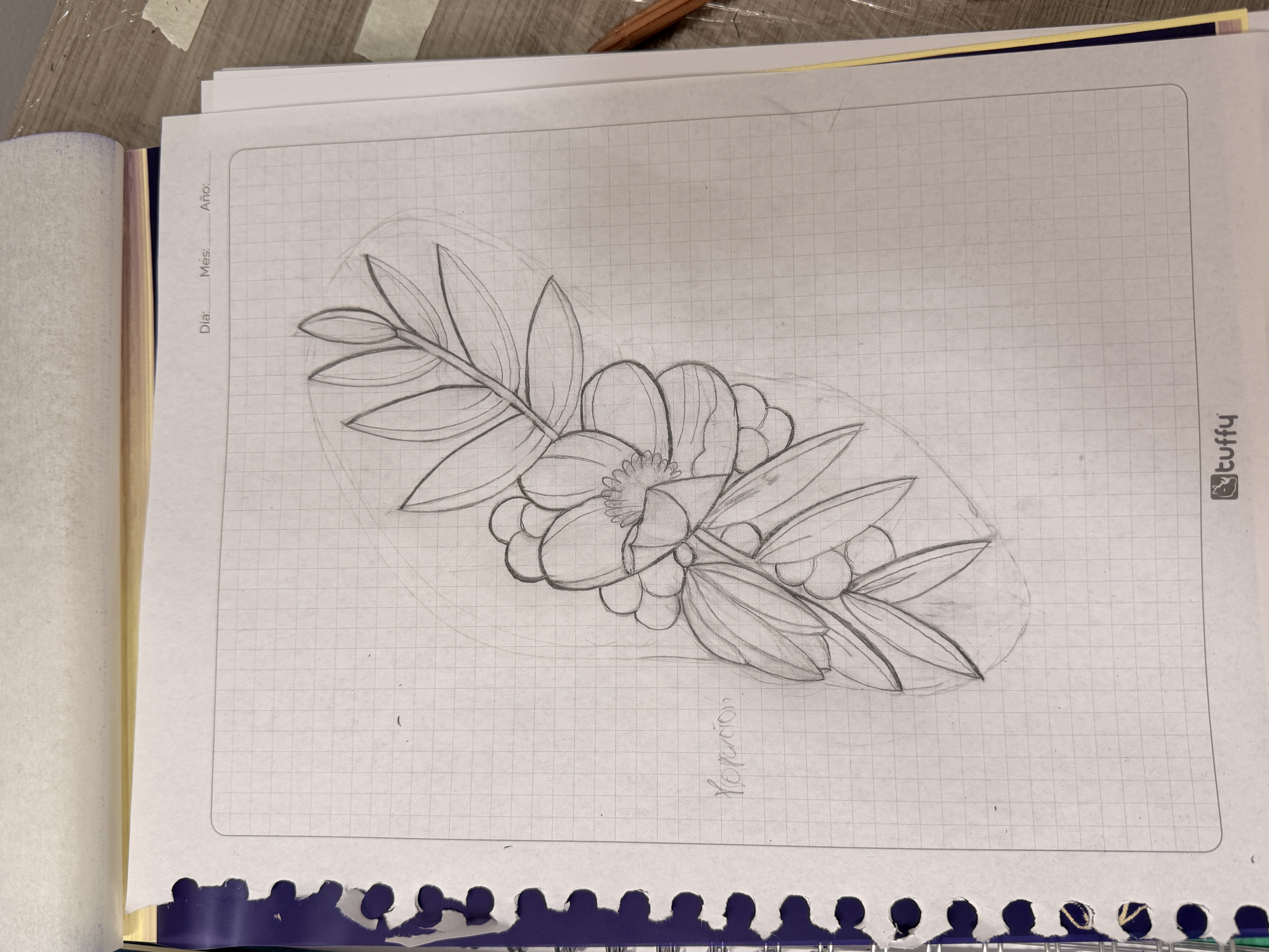 Trabajo de brayan ortiz