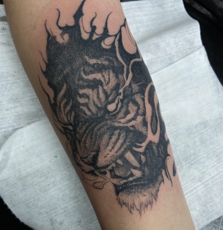 Animal