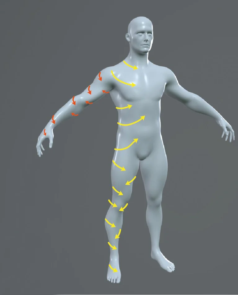 Zonas del cuerpo