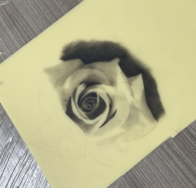 Rosa