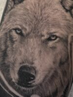 Avatar de Daniel Castro